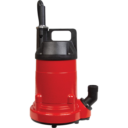 Pompe utilitaire en aluminium, 115 V, 1500 gal./h, 1/4 CV Advanced Consulting and Training Ltd.