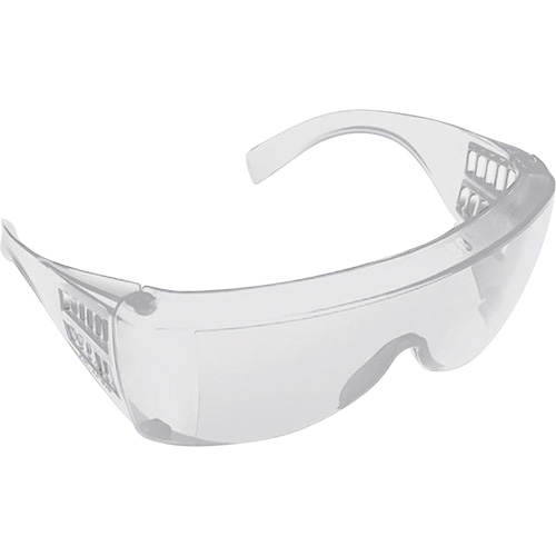 Lunettes pour visiteurs, Lentille Transparent, Anti-&eacute;gratignures/Polaris&eacute;, ANSI Z87+/R&eacute;pond ou surpasse la norme CSA Z94.3 Advanced Consulting and Training Ltd.