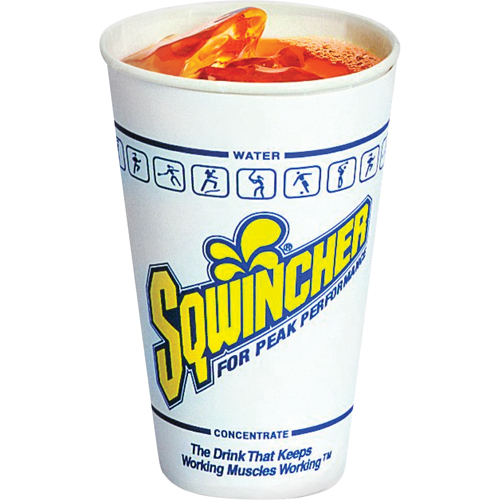 Sqwincher Gobelets Advanced Consulting and Training Ltd.