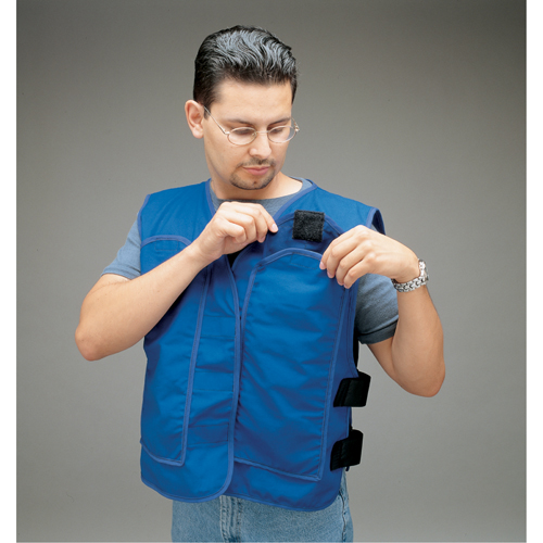 ALLEGRO INDUSTRIES Cooling Vests with Insert Pockets, Large, Royal Blue Advanced Consulting and Training Ltd.