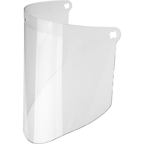 Visi&egrave;re WP96 de rechange, Polycarbonate, Teinte Transparent Advanced Consulting and Training Ltd.