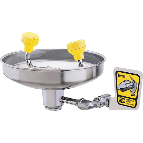 Eyewash With Acetal Heads, Wall-Mount Installation, Stainless Steel Bowl Advanced Consulting and Training Ltd.