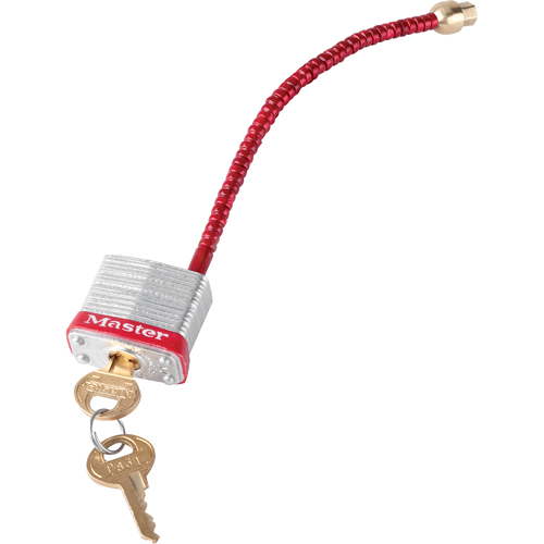 Switch Padlocks, Wall Switch Type Advanced Consulting and Training Ltd.