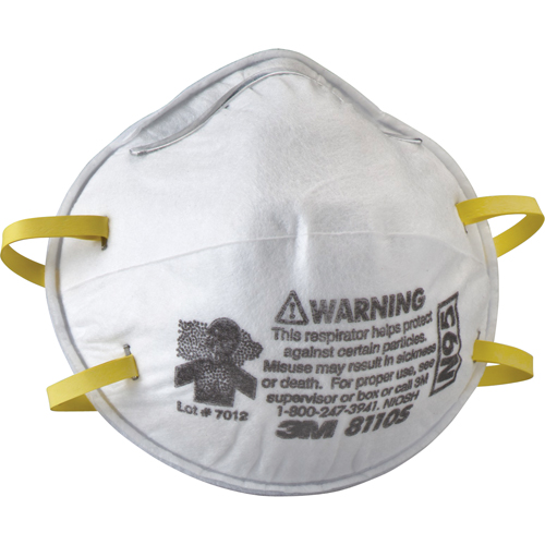 8110S Particulate Respirators, N95, NIOSH Certified, Small Advanced Consulting and Training Ltd.
