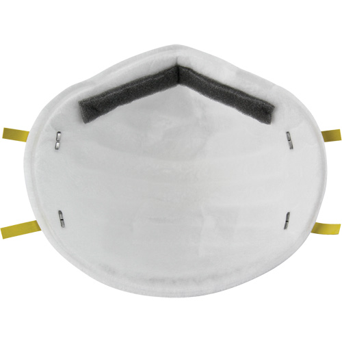 8110S Particulate Respirators, N95, NIOSH Certified, Small Advanced Consulting and Training Ltd.