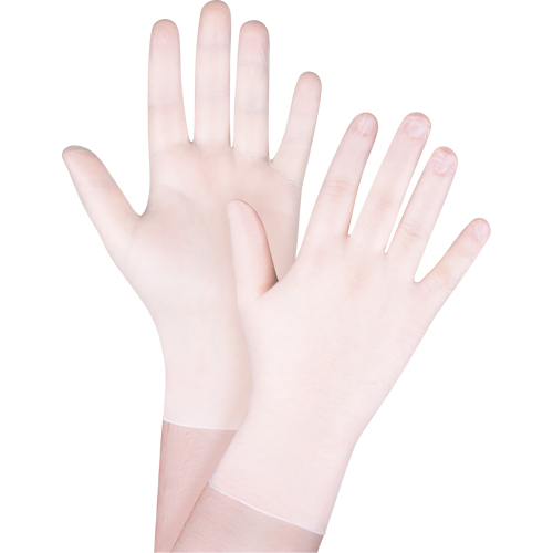 Disposable Gloves, X-Small, Vinyl, 4-mil, Powder-Free, White Advanced Consulting and Training Ltd.