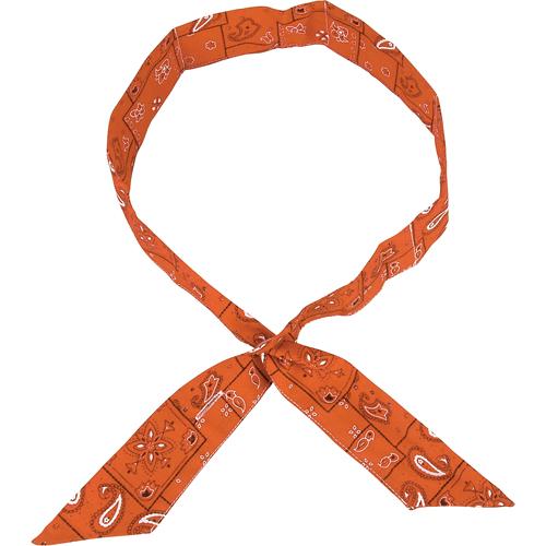 Bandeaux de refroidissement Cool Off ALLEGRO INDUSTRIES, Orange haute visibilit&eacute; Advanced Consulting and Training Ltd.