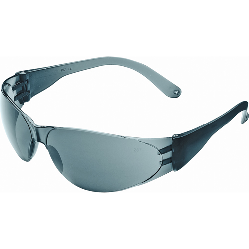 Lunettes de s&eacute;curit&eacute; Checklite Duramass, Lentille Grise/fum&eacute;e, Antibu&eacute;e/Anti-&eacute;gratignures, ANSI Z87+/R&eacute;pond ou surpasse la norme CSA Z94.3 Advanced Consulting and Training Ltd.