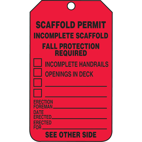 Inspection Tags, Plastic, 3-3/8" W x 5-7/8" H, English Advanced Consulting and Training Ltd.