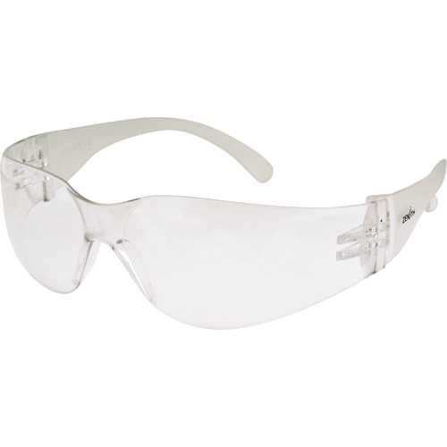 Z600 Series Safety Glasses, Clear Lens, Anti-Fog/Anti-Scratch, ANSI Z87+/Meets/Exceeds CSA Z94.3 Advanced Consulting and Training Ltd.