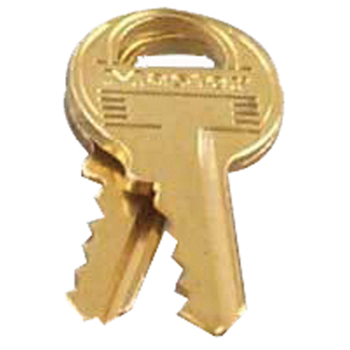 Control Key for Combination Padlocks Advanced Consulting and Training Ltd.