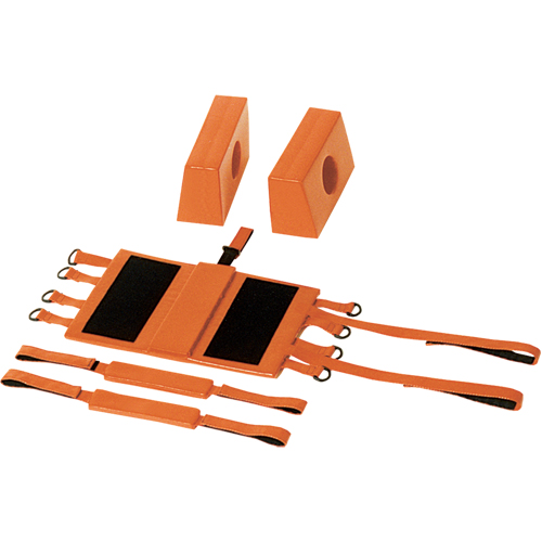 Head Immobilizers Advanced Consulting and Training Ltd.