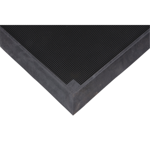Foot Sanitizing Matting, Rubber, 2-2/3' W x 3-1/4' L x 2-1/2" Thick, Black Advanced Consulting and Training Ltd.
