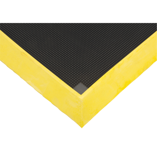 Foot Sanitizing Matting, Rubber, 2-2/3' W x 3-1/4' L x 2-1/2" Thick, Yellow Advanced Consulting and Training Ltd.