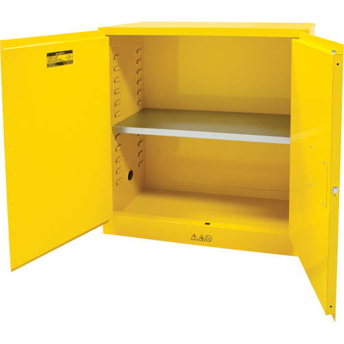 Armoire pour produits inflammables, 30 gal., 2 Porte(s), 43" La x 44" h x 18" p Advanced Consulting and Training Ltd.