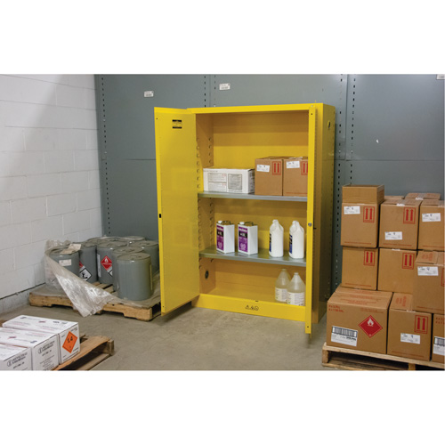 Armoire pour produits inflammables, 45 gal., 2 Porte(s), 43" La x 65" h x 18" p Advanced Consulting and Training Ltd.