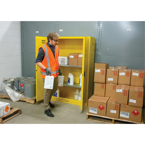 Armoire pour produits inflammables, 45 gal., 2 Porte(s), 43" La x 65" h x 18" p Advanced Consulting and Training Ltd.