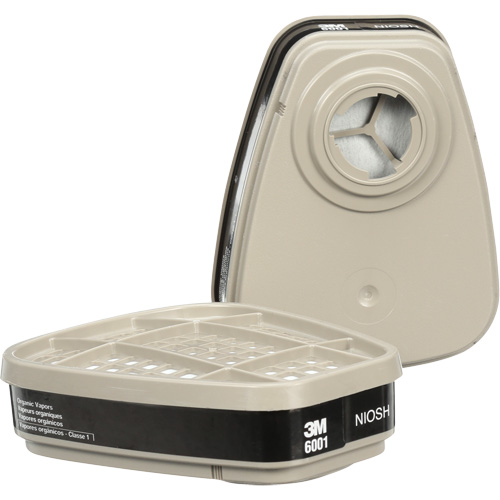 Cartouches pour respirateur s&eacute;rie 6000, Cartouche gaz/vapeur, Vapeur organique Advanced Consulting and Training Ltd.
