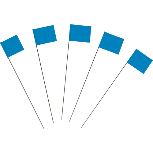 Drapeaux de marquage Advanced Consulting and Training Ltd.