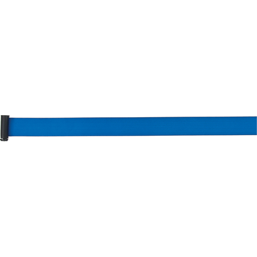 Tape Cassettes for Build-Your-Own Crowd Control Barriers, 7', Blue Tape Advanced Consulting and Training Ltd.