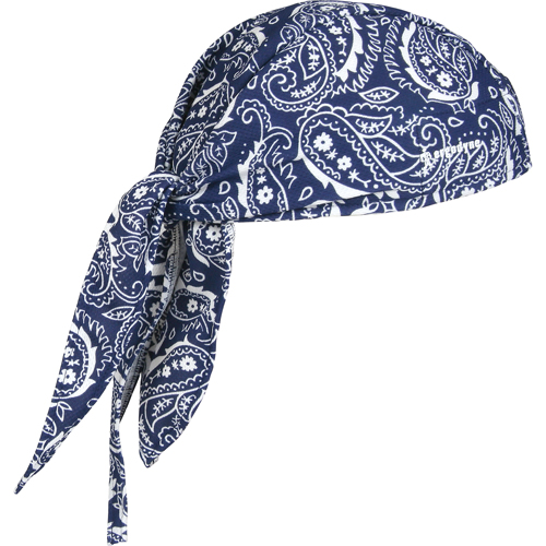 Coiffes de refroidissement Chill-Its 6615, Bleu Advanced Consulting and Training Ltd.