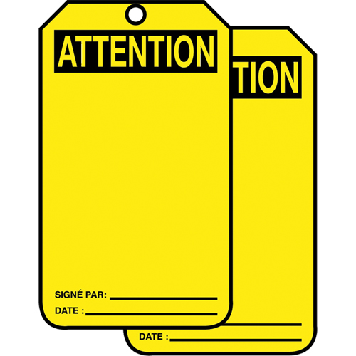 Safety Tags, Plastic, 3-3/8" W x 5-7/8" H, French Advanced Consulting and Training Ltd.