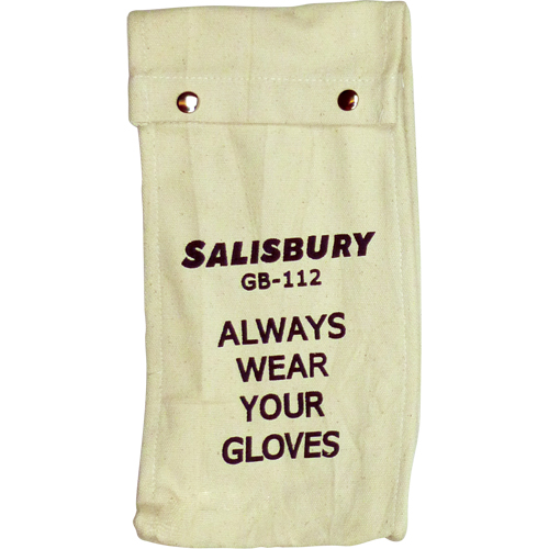 Salisbury  Glove Bags Advanced Consulting and Training Ltd.