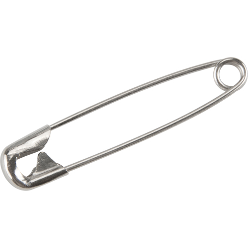 Safety Pins Advanced Consulting and Training Ltd.