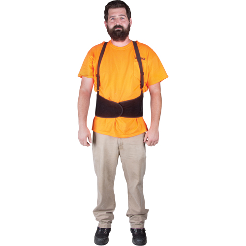 Back Support, Elastic, Small Advanced Consulting and Training Ltd.