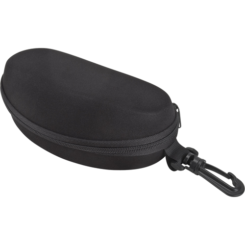 Safety Glasses Case Advanced Consulting and Training Ltd.
