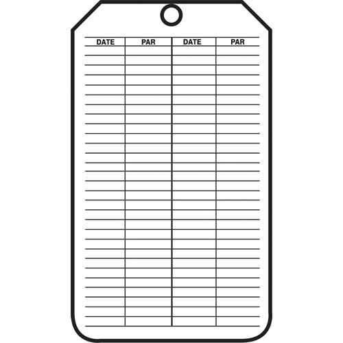 Inspection Tags, Cardstock, 3-1/8" W x 5-7/8" H, French Advanced Consulting and Training Ltd.
