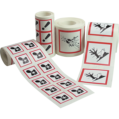 GHS Pictogram Labels, Vinyl, Roll, 1" L x 1" W Advanced Consulting and Training Ltd.
