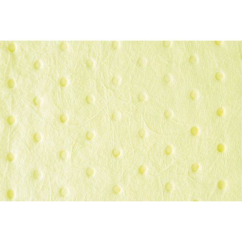 Feuilles absorbantes li&eacute;es de premi&egrave;re qualit&eacute;, Mati&egrave;res dangereuses, 15" x 18", 30 gal. d'absorption Advanced Consulting and Training Ltd.