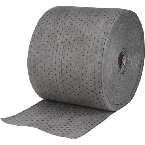 Absorbants pour zones de circulation &eacute;lev&eacute;e, L&eacute;ger, 150' lo x 15" la, Absorption 20 gal. Advanced Consulting and Training Ltd.