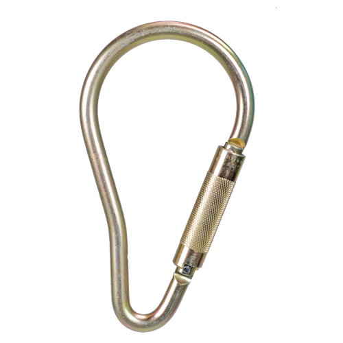 Carabiner, Steel, 5000 lbs Capacity Advanced Consulting and Training Ltd.