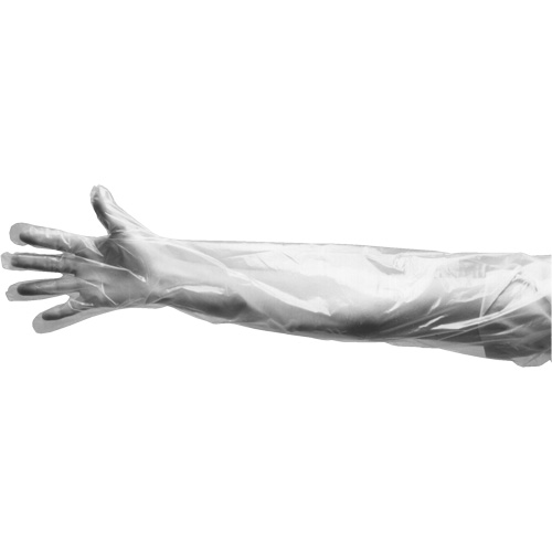 Gants jetables, Grand, Poly&eacute;thyl&egrave;ne, 9 mils, Poudr&eacute;s, Transparent Advanced Consulting and Training Ltd.