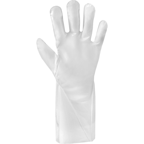Gants r&eacute;sistants aux produits chimiques ALPHATEC 02-100, Taille 7, 15,0" lo, PEHP, 2,4 mils Advanced Consulting and Training Ltd.
