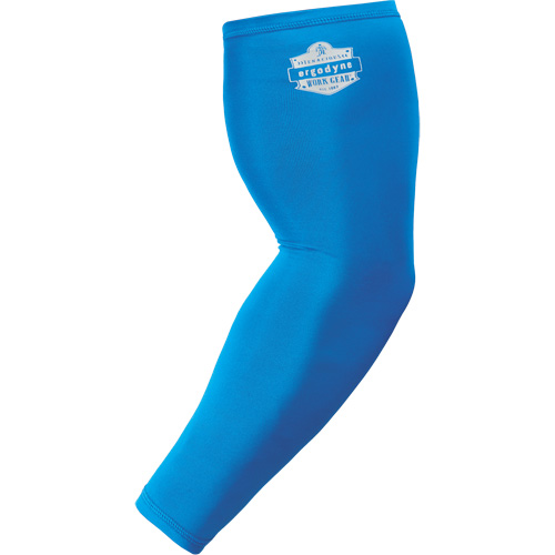 Manchons de refroidissement pour les bras 6690 Chill-Its, 17", Polyester, Bleu Advanced Consulting and Training Ltd.