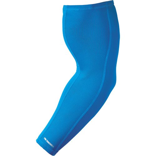 Manchons de refroidissement pour les bras 6690 Chill-Its, 17", Polyester, Bleu Advanced Consulting and Training Ltd.