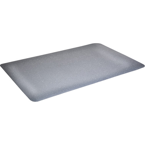 WD Foodmaster Anti-Microbial Mats, Smooth, 3' x 4' x 9/16", Grey, Nitrile/Rubber Advanced Consulting and Training Ltd.