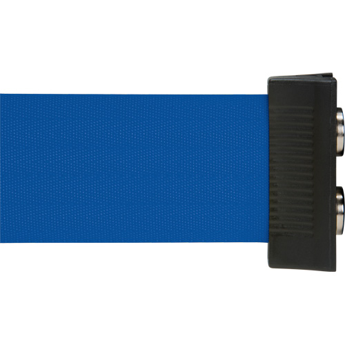 Barri&egrave;re &agrave; fixation murale avec ruban magn&eacute;tique, Acier, Fixation par vis, 7', Ruban Bleu Advanced Consulting and Training Ltd.