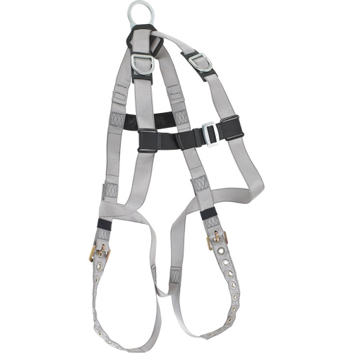 Dynamic B-Compliant Economy Harness, CSA Certified, Class AE, 310 lbs. Cap. Advanced Consulting and Training Ltd.