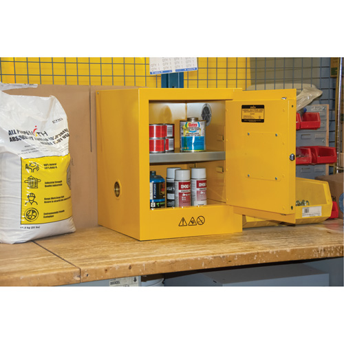 Flammable Storage Cabinet, 4 gal., 1 Door, 17" W x 22" H x 18" D Advanced Consulting and Training Ltd.