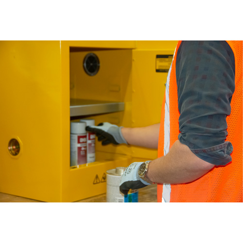 Flammable Storage Cabinet, 4 gal., 1 Door, 17" W x 22" H x 18" D Advanced Consulting and Training Ltd.