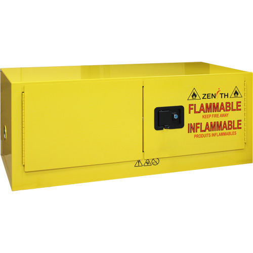 Armoire pour produits inflammables, 12 gal., 2 Porte(s), 43" La x 18" h x 18" p Advanced Consulting and Training Ltd.