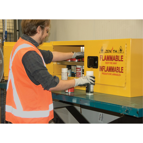 Armoire pour produits inflammables, 12 gal., 2 Porte(s), 43" La x 18" h x 18" p Advanced Consulting and Training Ltd.