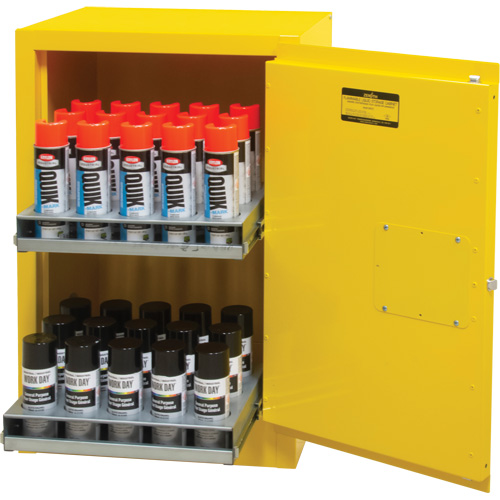Armoire de rangement pour a&eacute;rosols inflammables, 12 gal., 1 Porte(s), 23" La x 35" h x 18" p Advanced Consulting and Training Ltd.