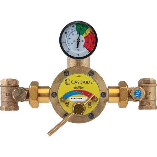 Mitigeur pour assemblage au groupe expos&eacute; d'une douche d'urgence simple ou combin&eacute;e, 56 gal./min Advanced Consulting and Training Ltd.