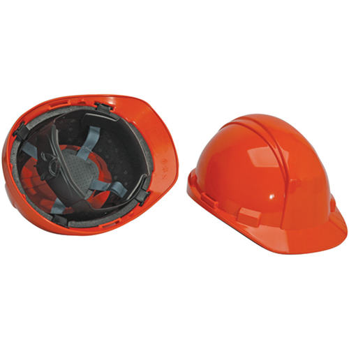 Casque de s&eacute;curit&eacute; North Matterhorn, R&eacute;pond aux normes CSA type 2, Suspension Rochet, Non ventil&eacute; Advanced Consulting and Training Ltd.