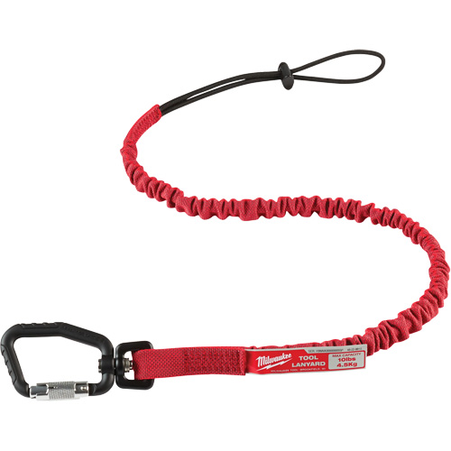 Longe verrouillable pour outils, Tendeur, Mousqueton/boucle Advanced Consulting and Training Ltd.